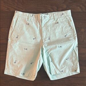 Men's Mint/Teal Shorts